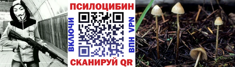 Псилоцибиновые грибы ЛСД  ОМГ ОМГ tor  Альметьевск 